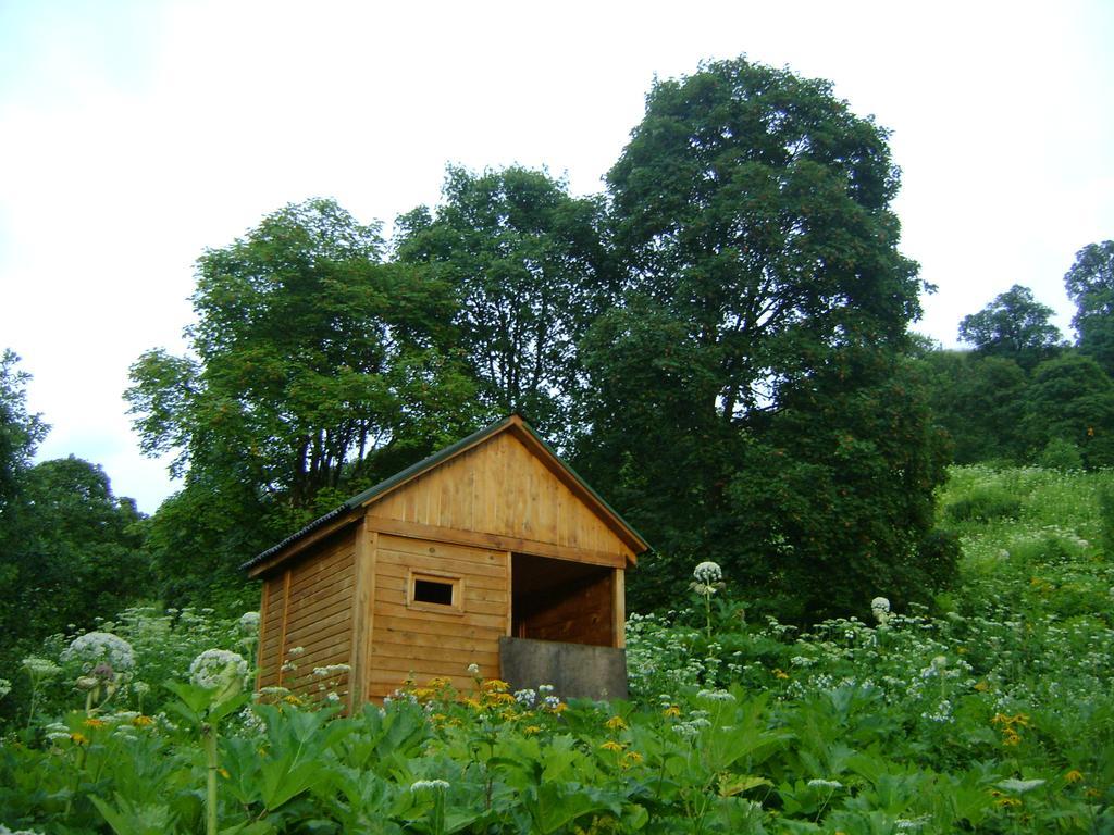 Ludwig Guesthouse 라고데키 외부 사진